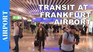 TRANSIT WALK AT FRANKFURT Airport FRA Terminal 1  Connection Flight Transfer Arriving amp Departing [upl. by Eikram]